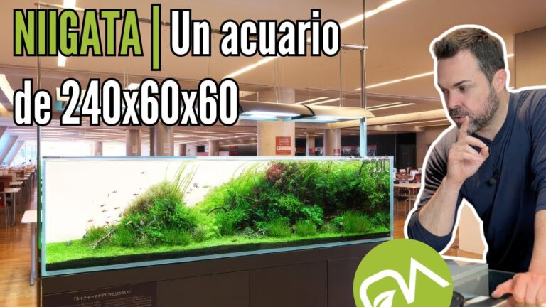 Logra armon&iacute;a visual con cortinas de cristal