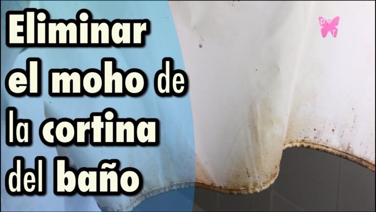 C&oacute;mo evitar manchas en tus cortinas de cristal