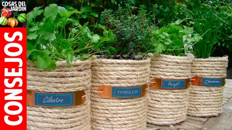 Plantas arom&aacute;ticas ideales para terrazas
