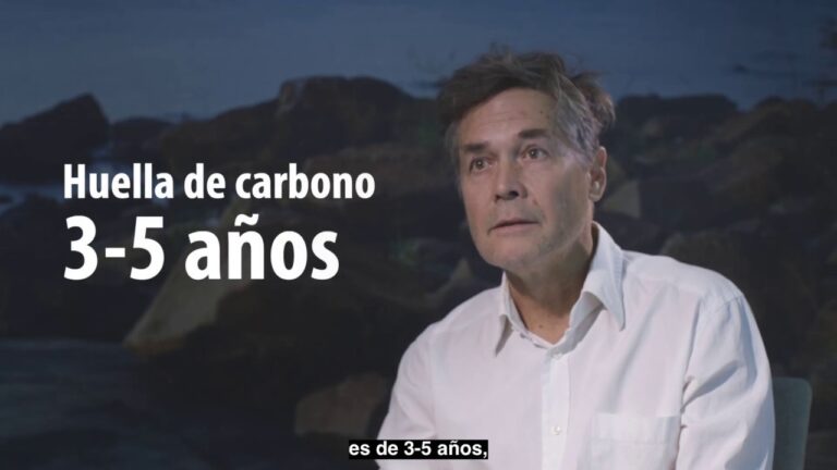 Cortinas de Cristal: La Mejor Opci&oacute;n para Ahorrar en Electricidad