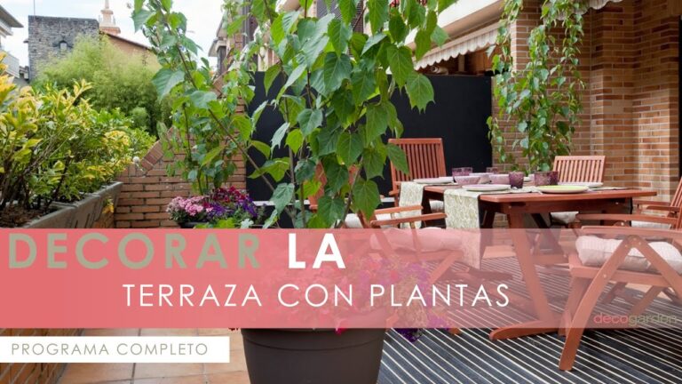 Macetas para terrazas peque&ntilde;as: Soluciones de espacio y estilo